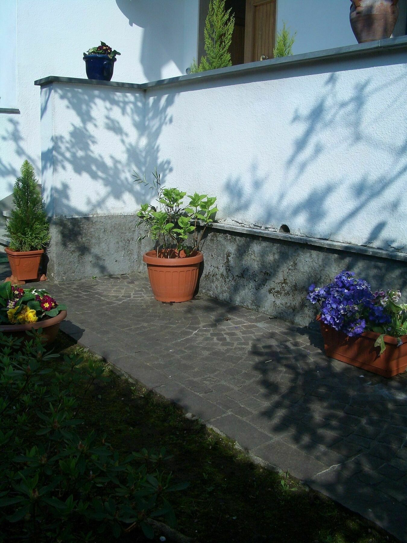 B&B Lucca Porta Sant'Anna Exterior photo